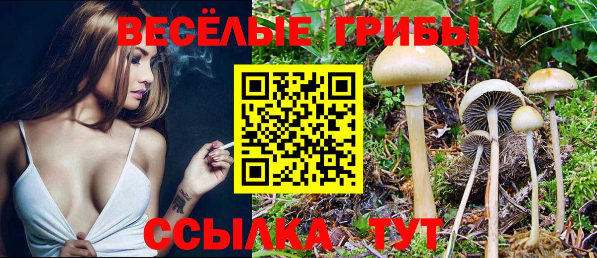 Ахтубинск  Псилоцибиновые грибы GOLDEN TEACHER  Вход с VPN  Псилоцибиновые грибы Cubensis 